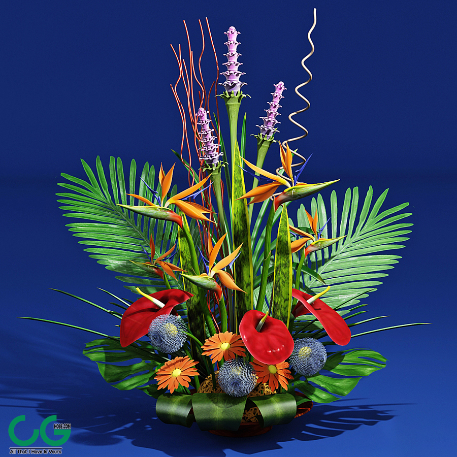 Bouquet